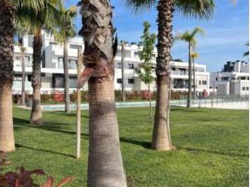 La Golondrina, Palm Mar, Urbanizacion Palm-Mar, Tenerife, Santa Cruz de Tenerife, Islas Canarias, Islas Canarias