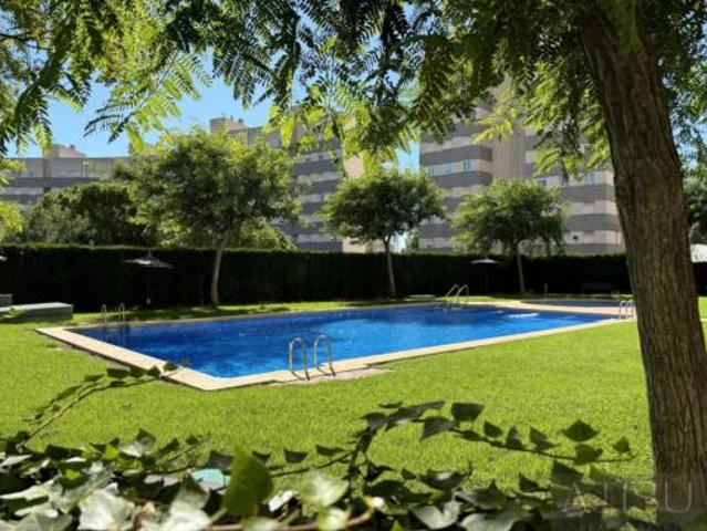 Piso Alquiler El Campello, Platja Muchavista
