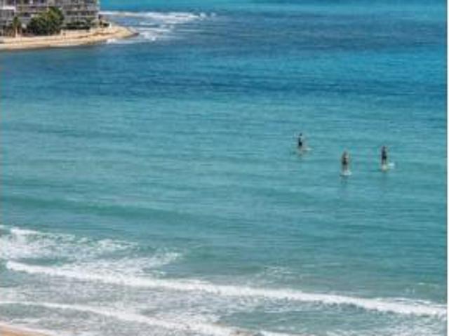 Piso Alquiler El Campello, Platja Muchavista