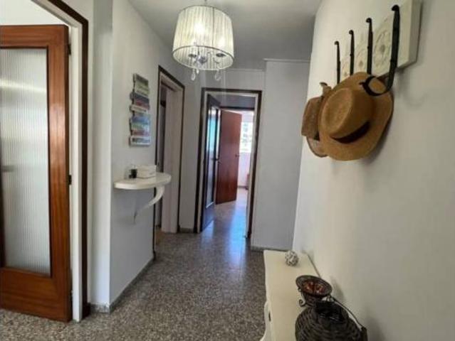 Piso Alquiler El Campello, Platja Muchavista