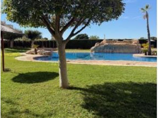 Piso Alquiler El Campello, Platja Muchavista