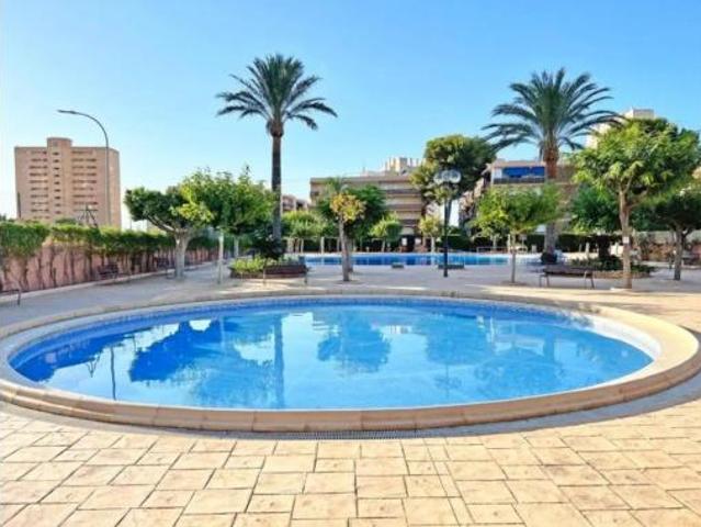 Piso Alquiler El Campello, Platja Muchavista