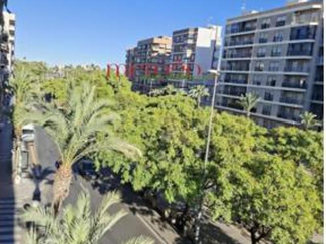 Piso Alquiler Elx Elche, Carrús Este Camí dels Magros