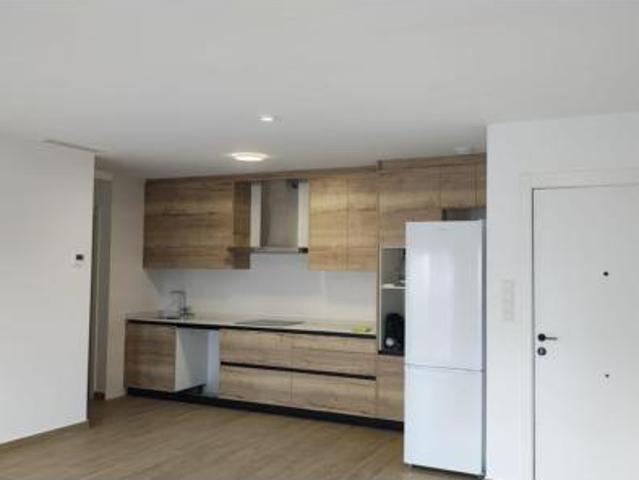 Piso Alquiler Elx Elche, San Antón El Palmeral