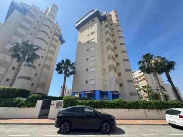 Piso Alquiler Guardamar del Segura, Zona Puerto Deportivo