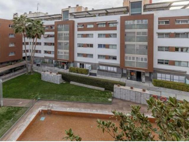 Piso Alquiler Granada Capital, Campus de la Salud Palacio de los Deportes
