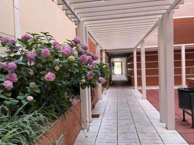 Piso Alquiler Granada Capital, Los Periodistas Parque Almunia Albayda