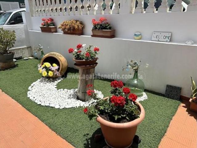 Piso Alquiler Icod de Los Vinos, Icod de Los Vinos