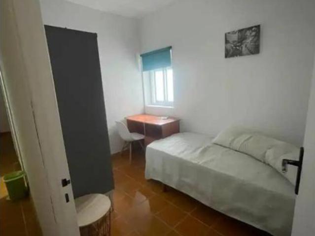 Piso Alquiler Jaén Capital, Jaén Capital