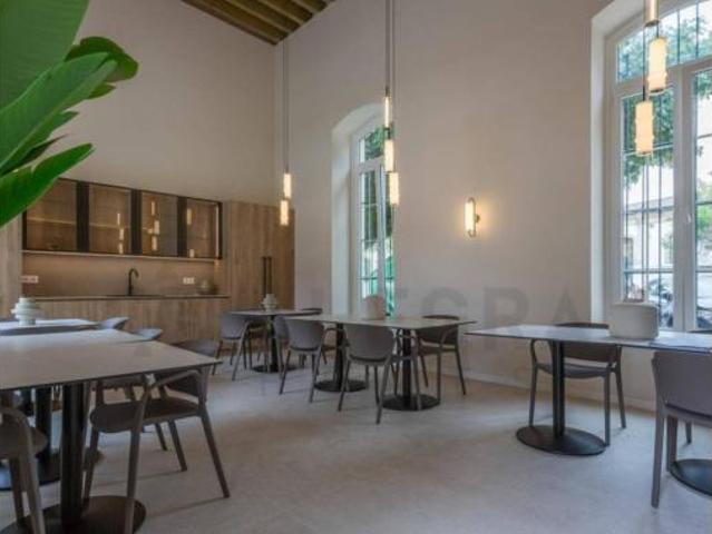 Piso Alquiler Jerez de la Frontera, Centro