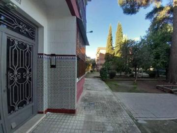 Piso Alquiler Linares, Linares
