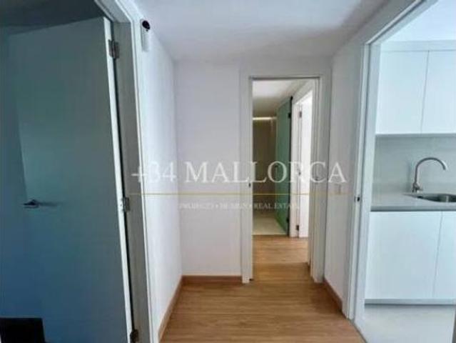 Piso Alquiler Palma de Mallorca, Cort