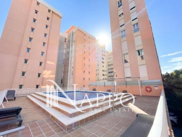 Piso Alquiler Palma de Mallorca, El Terreno