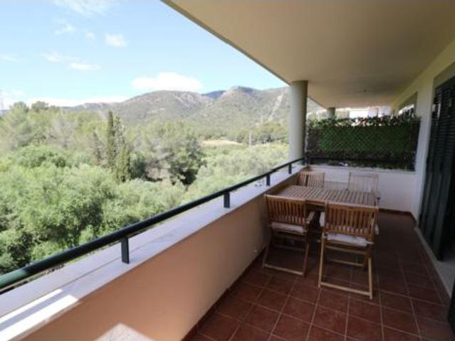 Piso Alquiler Palma de Mallorca, Gènova