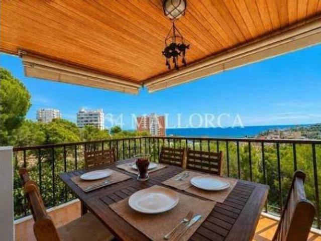 Piso Alquiler Palma de Mallorca, Sant Agustí