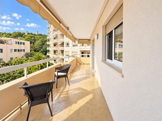 Piso Alquiler Palma de Mallorca, Son Armadans
