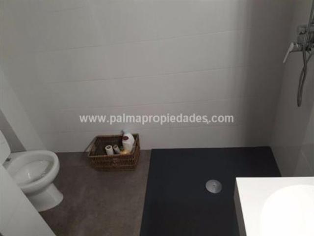 Piso Alquiler Palma de Mallorca, Son Dameto