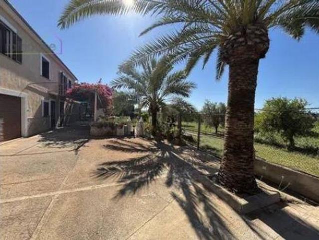 Piso Alquiler Palma de Mallorca, Son Ferriol