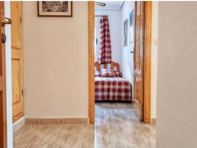 Piso Alquiler Pilar de la Horadada, Mil Palmeras