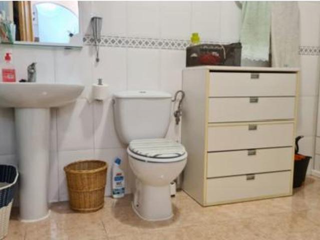 Piso Alquiler Pilar de la Horadada, Núcleo