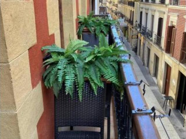 Piso Alquiler San Sebastián Donostia, Parte Vieja Alde Zaharra