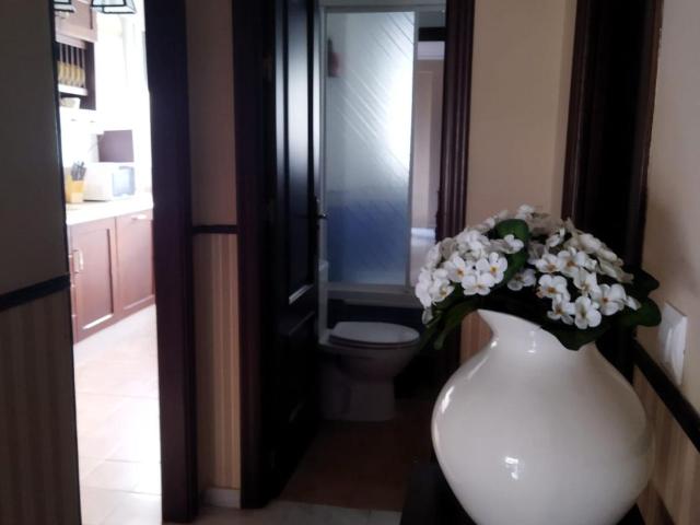 Piso Alquiler Sevilla