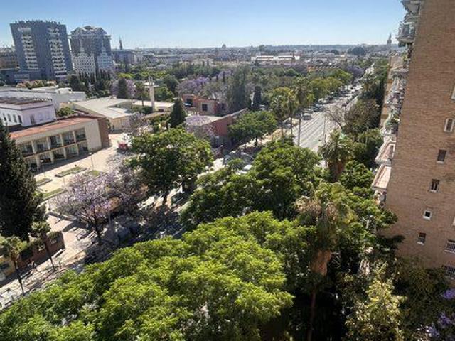Piso Alquiler Sevilla