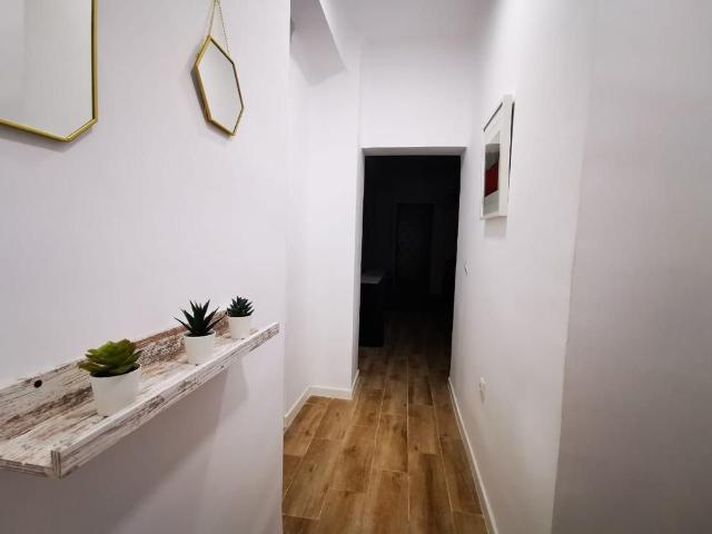 Piso Alquiler Sevilla