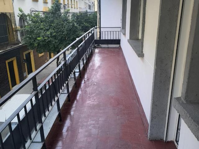 Piso Alquiler Sevilla