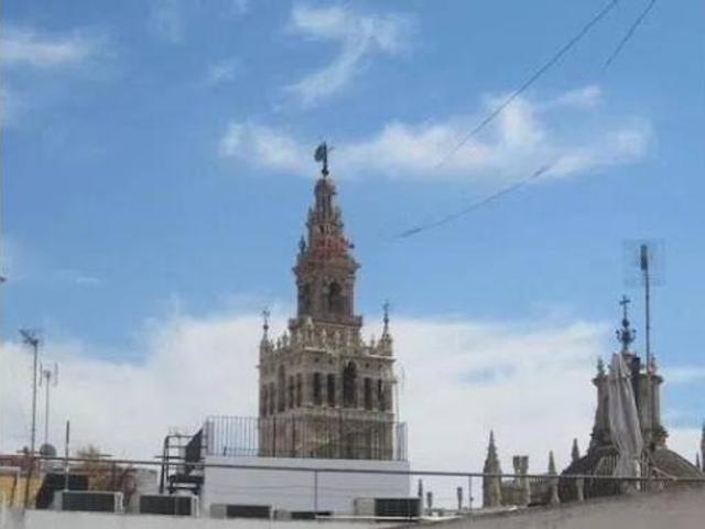 Piso Alquiler Sevilla Capital, Arenal
