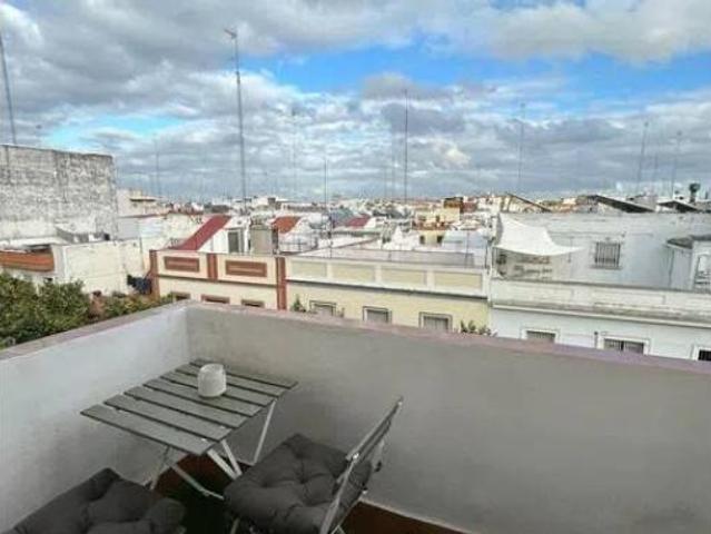 Piso Alquiler Sevilla Capital, Ciudad Jardín