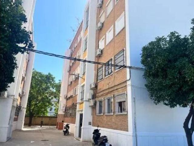 Piso Alquiler Sevilla Capital, La Palmera Reina Mercedes