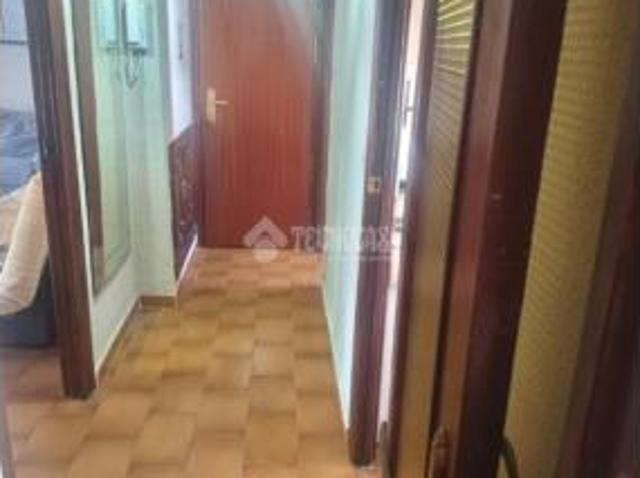 Piso Alquiler Sevilla Capital, La Palmera Reina Mercedes