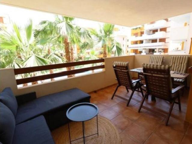 Piso Alquiler Torrevieja, Los Balcones Los Altos Punta Prima