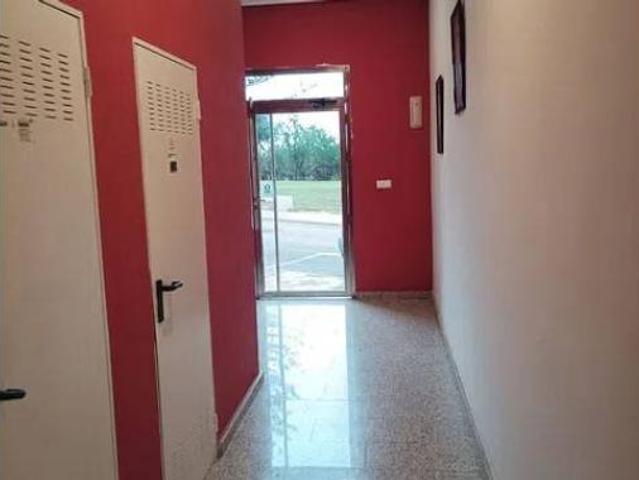 Piso Alquiler Torrevieja, La Mata