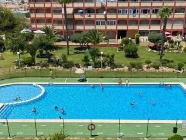 Piso Alquiler Torrevieja, Playa de los Locos Los Frutales Cabo Cervera