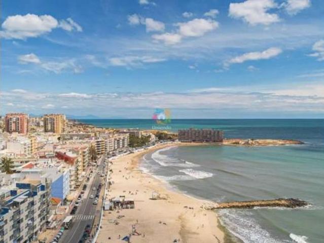 Piso Alquiler Torrevieja, Playa de los Locos Los Frutales Cabo Cervera