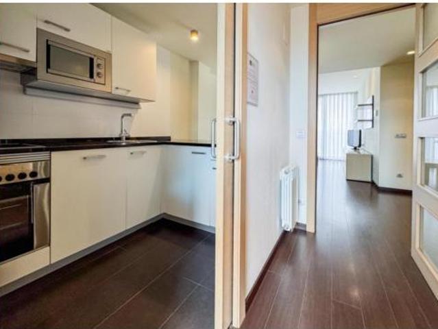 Piso Alquiler Vitoria Gasteiz, Mendizorrotza