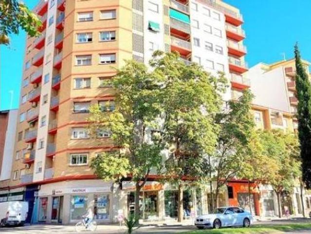 Piso Alquiler Zaragoza Capital, San José