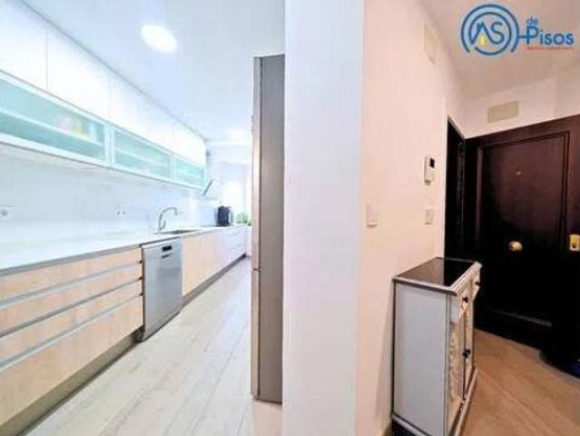 Piso Alquiler Zaragoza Capital, San José
