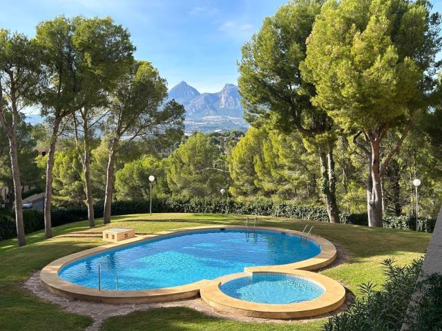 Piso, Altea