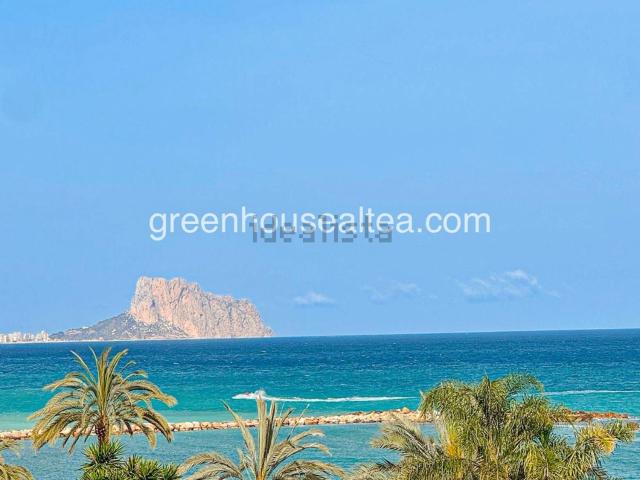 Piso, Altea