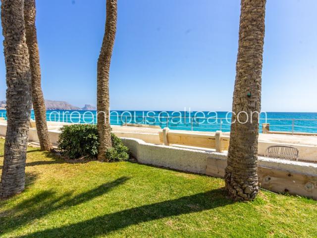 Piso, Altea