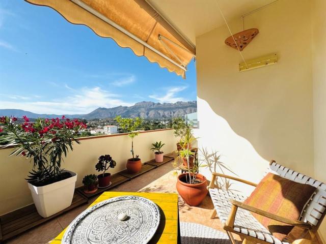 Piso, Altea