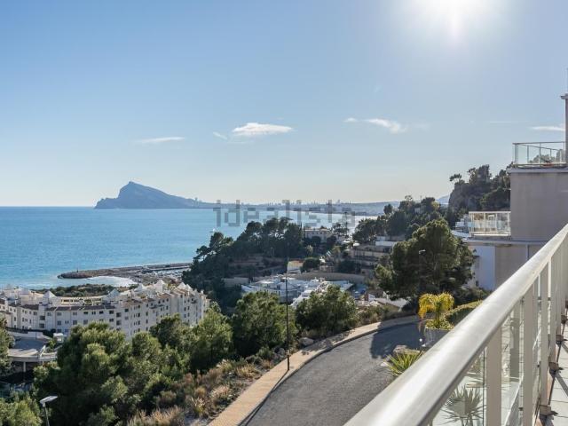Piso, Altea