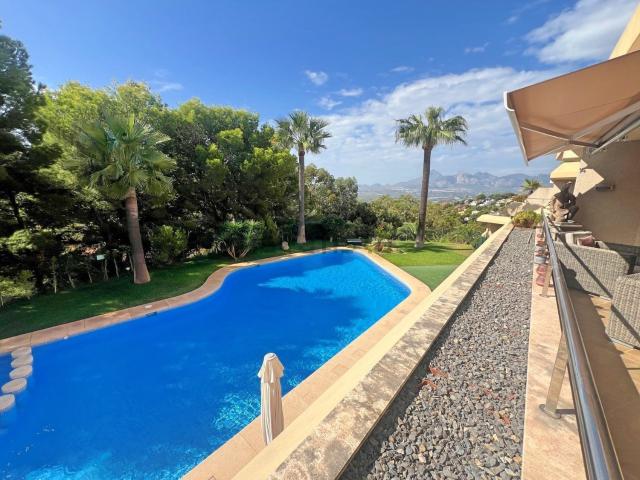 Piso, Altea