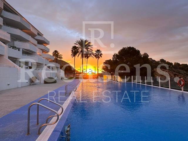 Piso, Altea