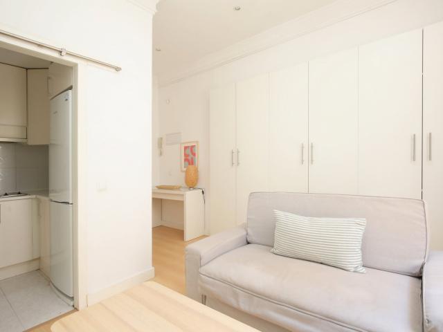 PISO / APARTAMENTO. MADRID 1 Dormitorios 50 m²