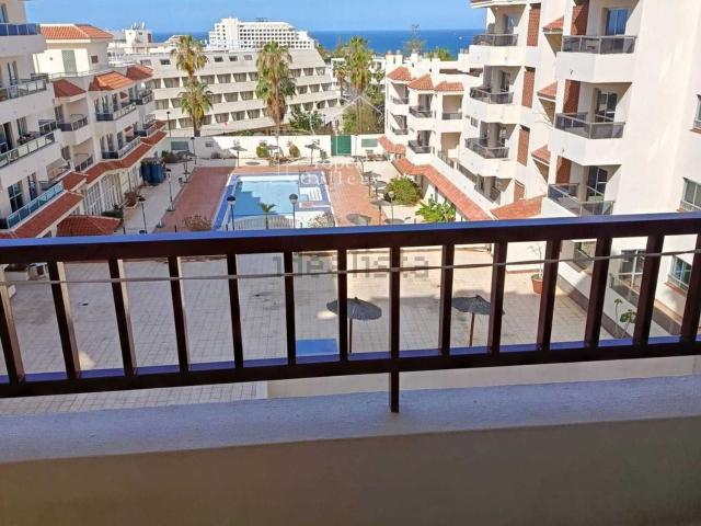 Piso, Arona