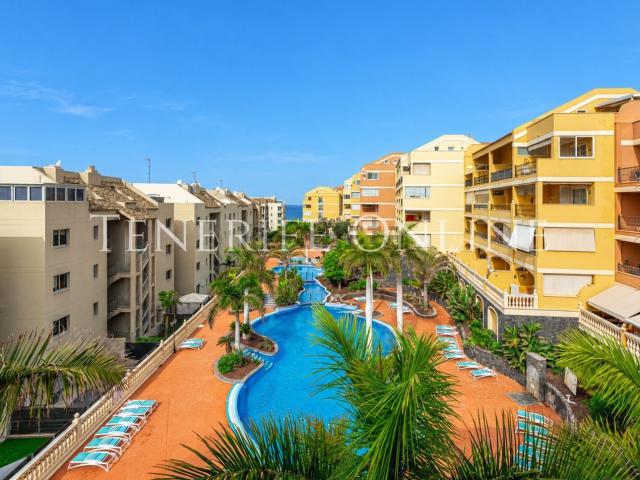 Piso, Arona